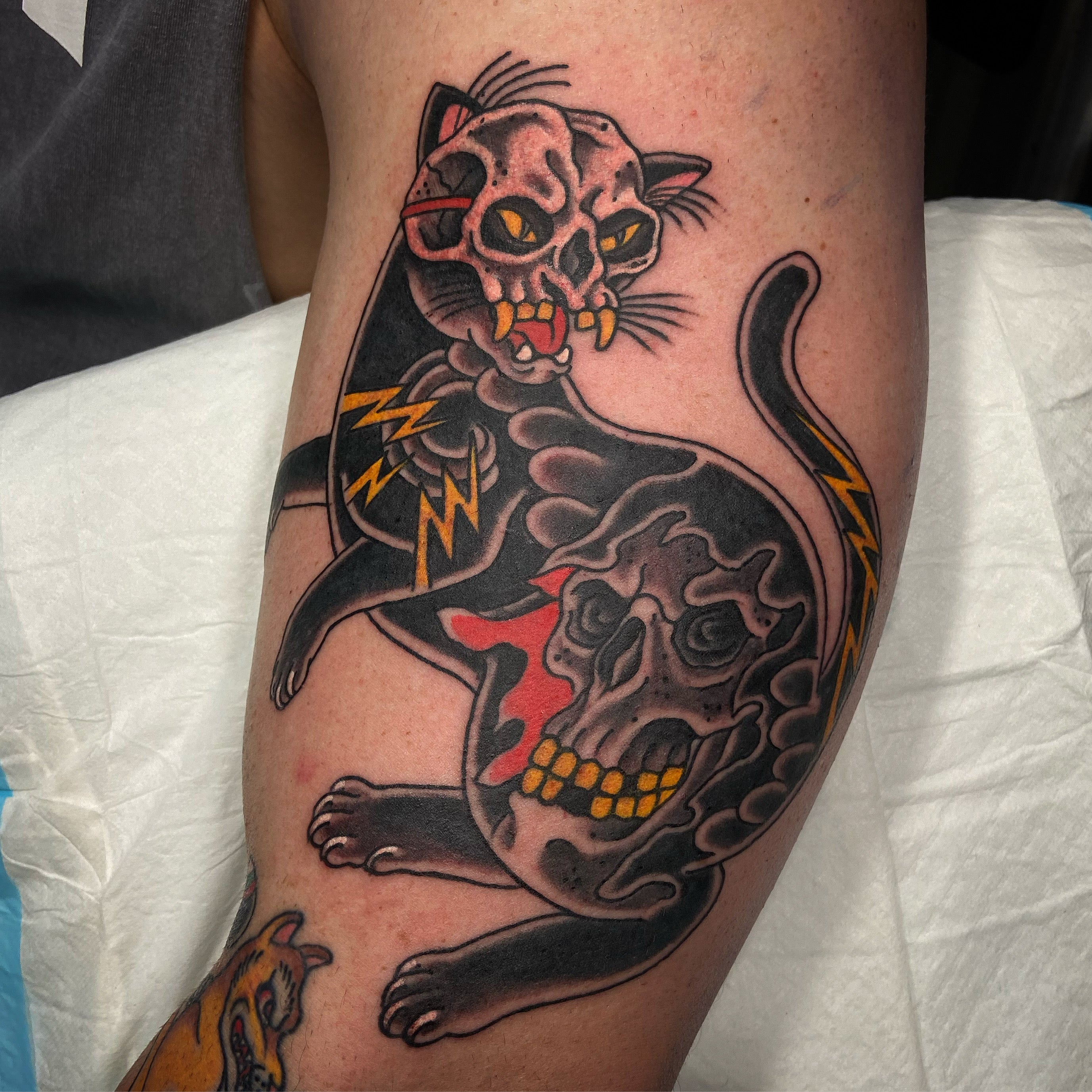 Skull cat with grim reaper tattoo and Japanese body suit